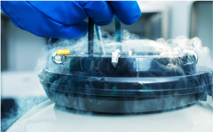 Sperm and Embryo Banking